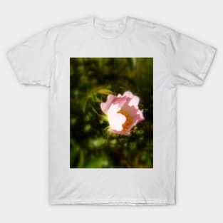 old-fashioned roses by Fox Creek & Columbia River 8 T-Shirt